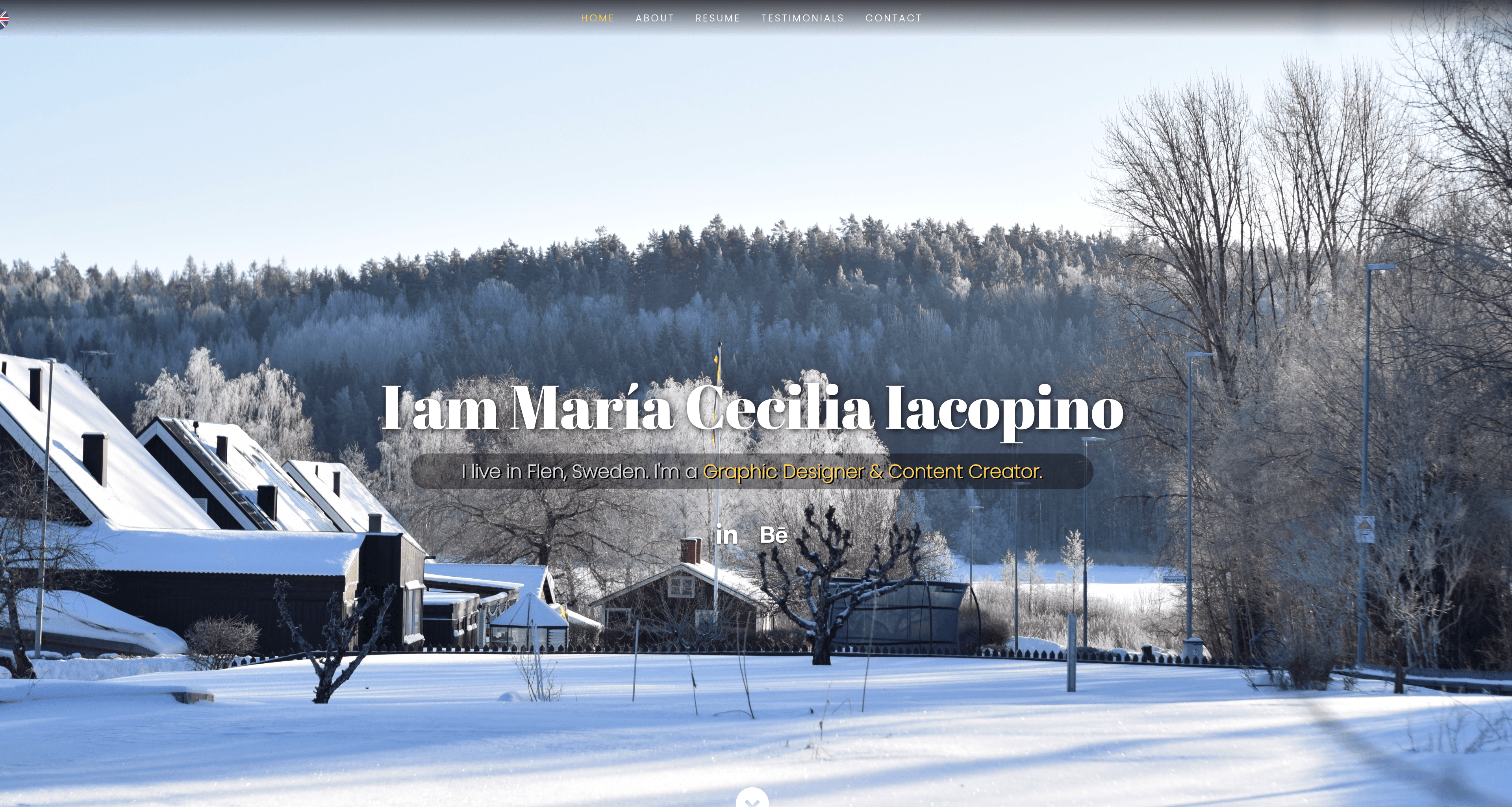 mceciliaiacopino.com